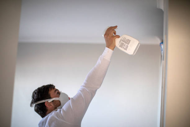 Best Emergency Mold Removal  in Fairfield, IA