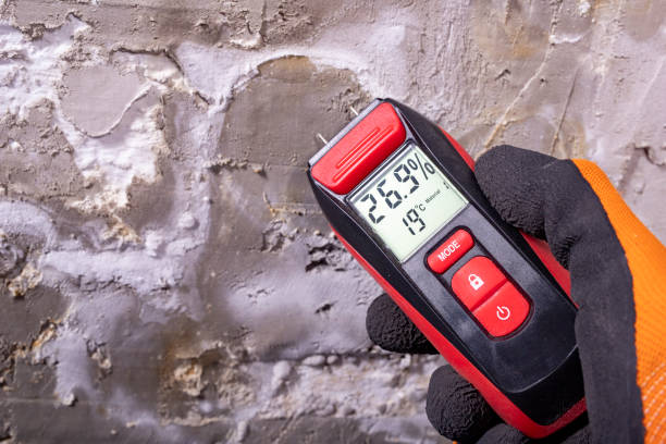 Best Professional Mold Removal  in Fairfield, IA