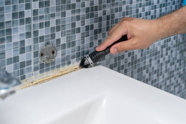 Best Mold Remediation  in Fairfield, IA