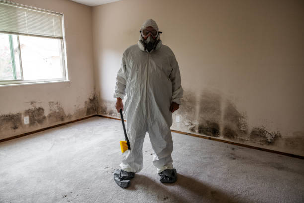 Best Home Mold Removal  in Fairfield, IA